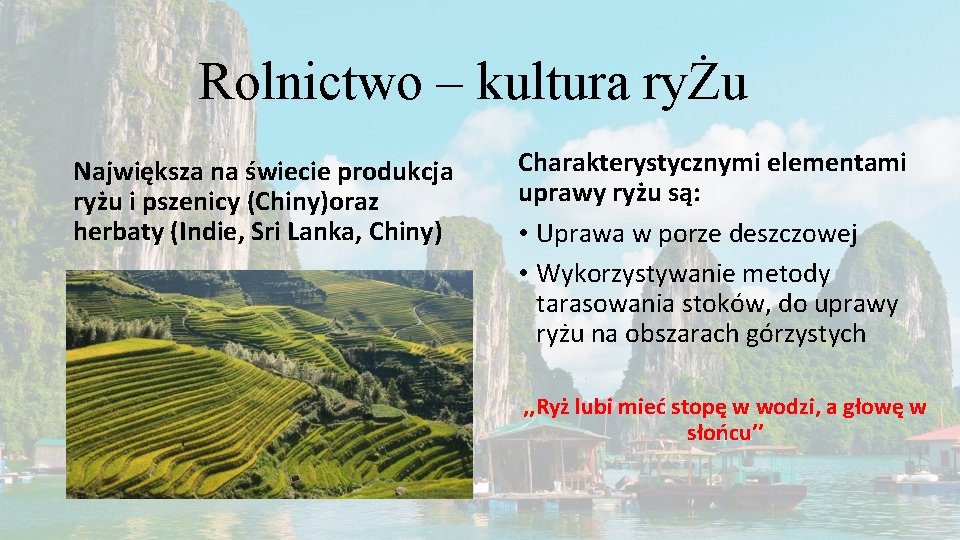 Rolnictwo – kultura ryŻu Największa na świecie produkcja ryżu i pszenicy (Chiny)oraz herbaty (Indie,