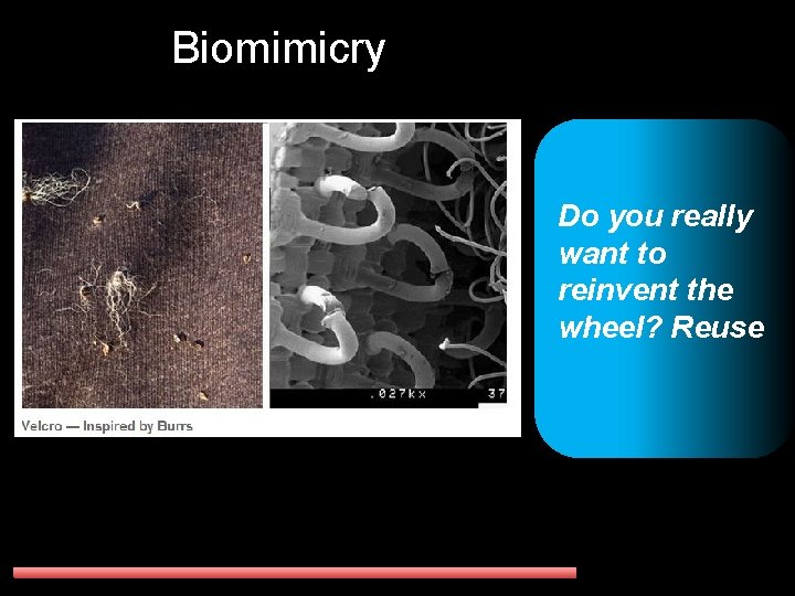 Biomimicry Do you really want to reinvent the wheel? Reuse 