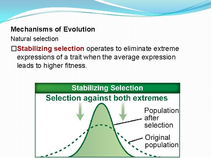 Mechanisms of Evolution Natural selection �Stabilizing selection operates to eliminate extreme expressions of a