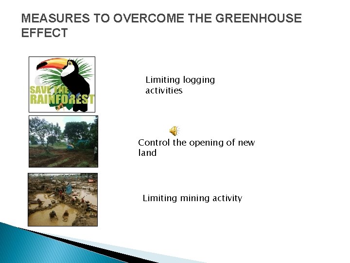 MEASURES TO OVERCOME THE GREENHOUSE EFFECT Limiting logging activities Control the opening of new