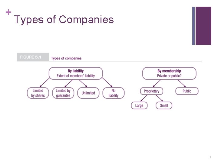 + Types of Companies 9 + Types of Companies 9