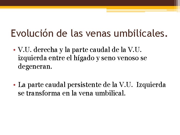 Evolución de las venas umbilicales. • V. U. derecha y la parte caudal de