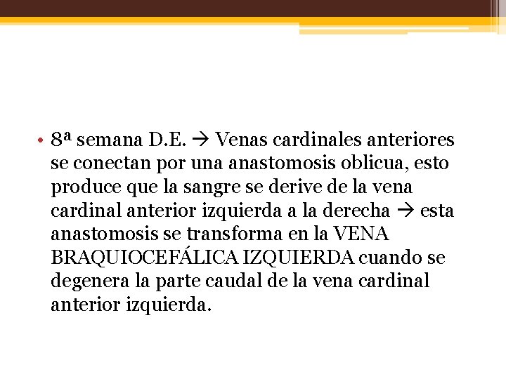  • 8ª semana D. E. Venas cardinales anteriores se conectan por una anastomosis
