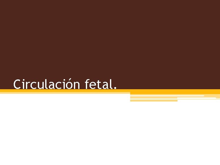 Circulación fetal. 