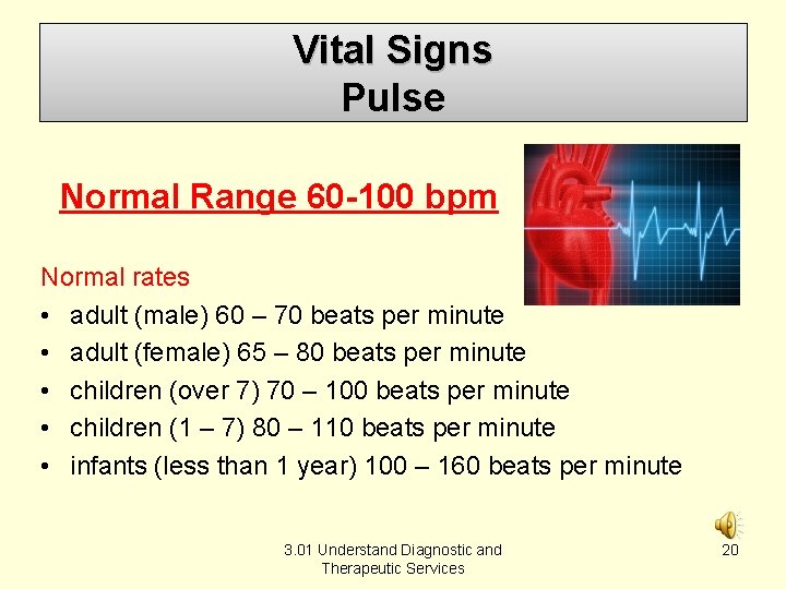 Vital Signs Pulse Normal Range 60 -100 bpm Normal rates • adult (male) 60