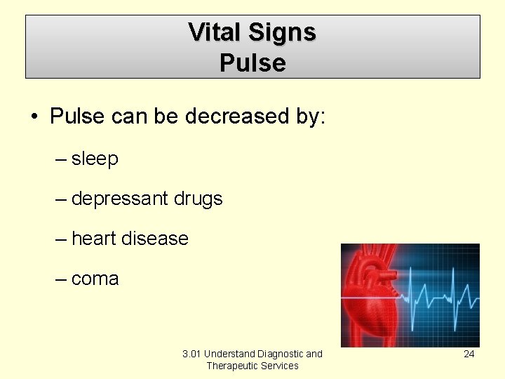 Vital Signs Pulse • Pulse can be decreased by: – sleep – depressant drugs
