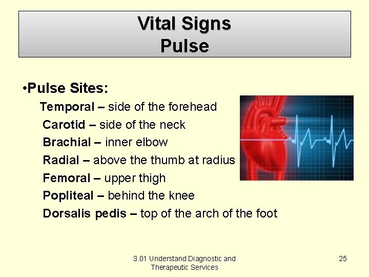 Vital Signs Pulse • Pulse Sites: Temporal – side of the forehead Carotid –