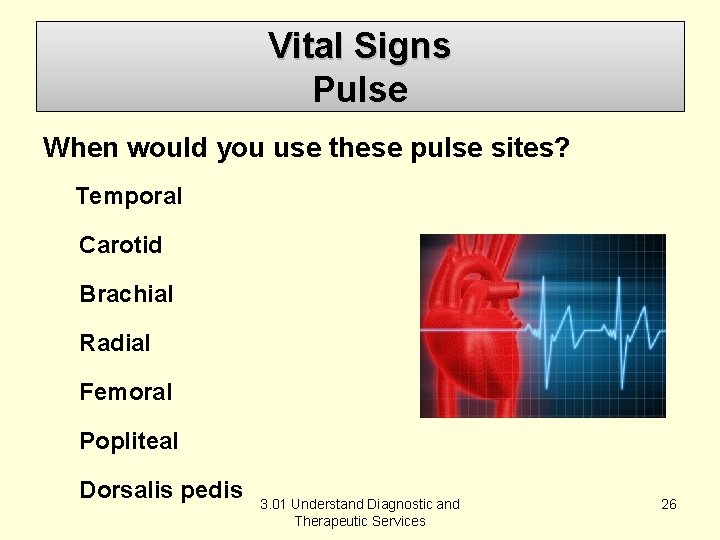 Vital Signs Pulse When would you use these pulse sites? Temporal Carotid Brachial Radial