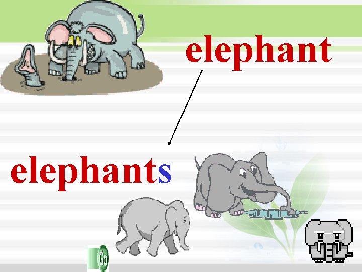 elephants elephants
