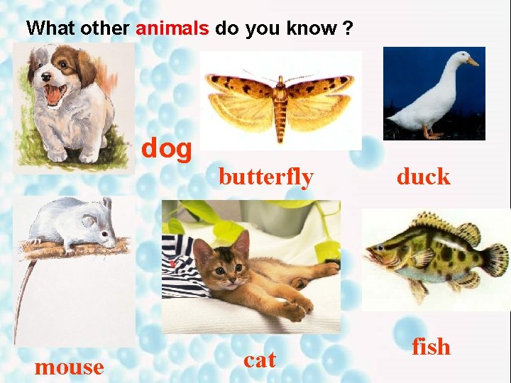 What other animals do you know ? dog mouse butterfly cat duck fish What other animals do you know ? dog mouse butterfly cat duck fish
