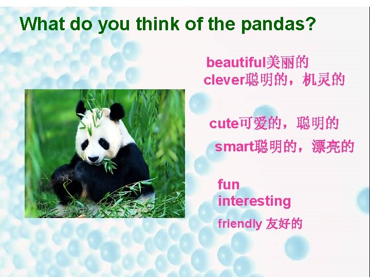 What do you think of the pandas? beautiful美丽的 clever聪明的,机灵的 cute可爱的,聪明的 smart聪明的,漂亮的 fun interesting friendly What do you think of the pandas? beautiful美丽的 clever聪明的,机灵的 cute可爱的,聪明的 smart聪明的,漂亮的 fun interesting friendly