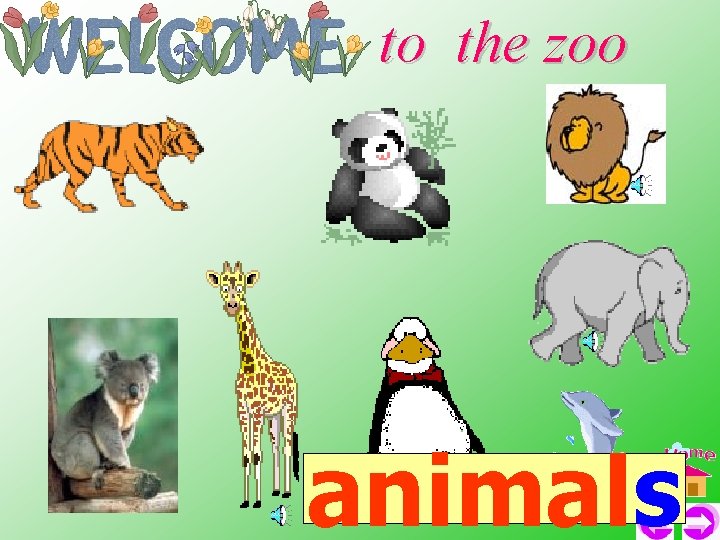 to the zoo animals to the zoo animals
