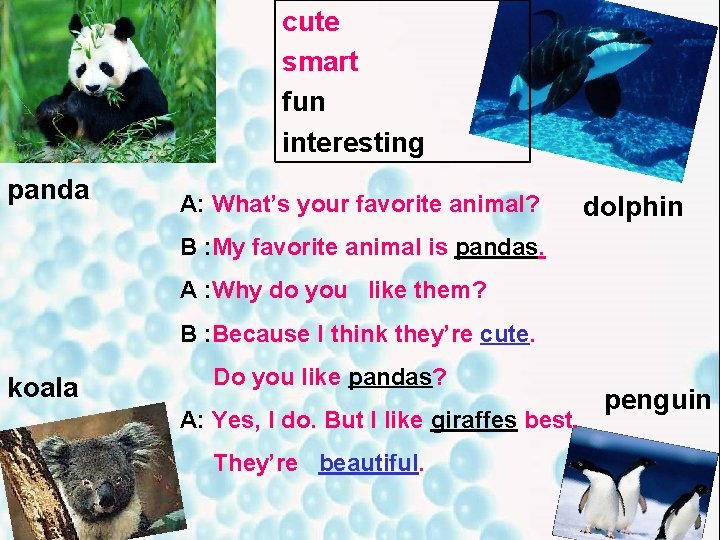 cute smart fun interesting panda A: What’s your favorite animal? dolphin B : My cute smart fun interesting panda A: What’s your favorite animal? dolphin B : My