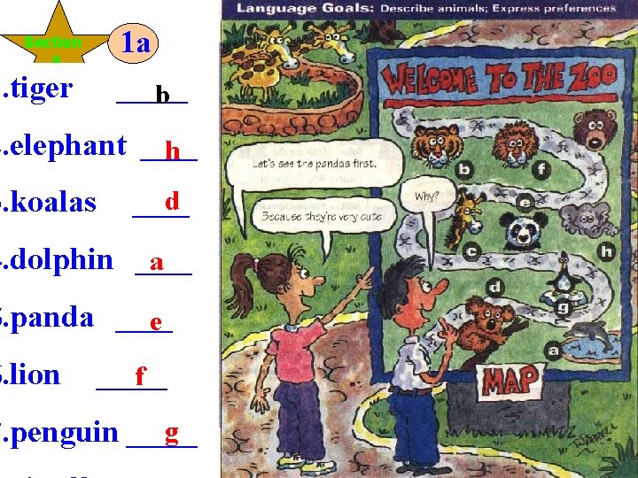 Section A 1 a 1. tiger _____ b 2. elephant ____ h d 3. Section A 1 a 1. tiger _____ b 2. elephant ____ h d 3.