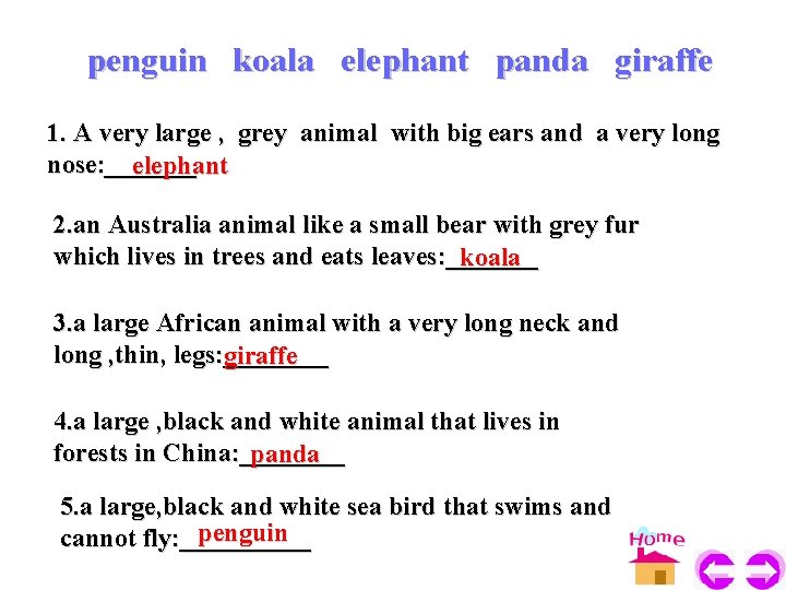 penguin koala elephant panda giraffe 1. A very large , grey animal with big penguin koala elephant panda giraffe 1. A very large , grey animal with big