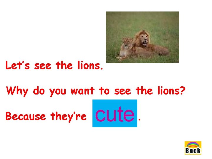 Let’s see the lions. Why do you want to see the lions? Because they’re Let’s see the lions. Why do you want to see the lions? Because they’re