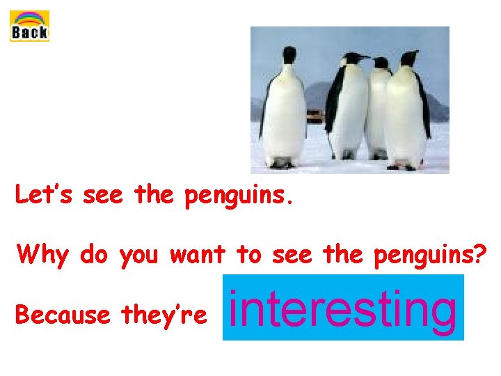 Let’s see the penguins. Why do you want to see the penguins? Because they’re Let’s see the penguins. Why do you want to see the penguins? Because they’re