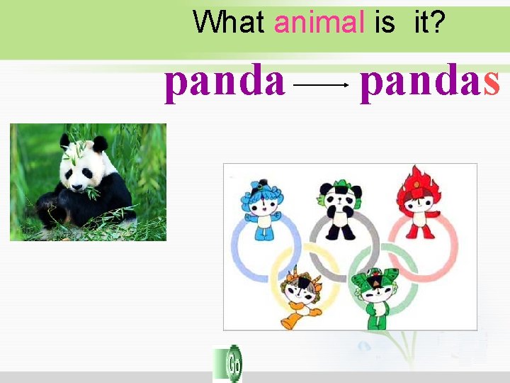 What animal is it? pandas What animal is it? pandas