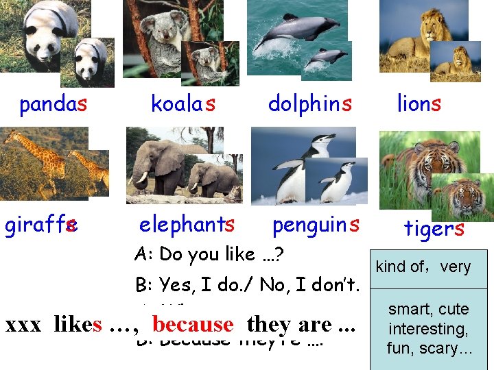 pandas giraffe s koala s dolphin s elephants penguin s A: Do you like pandas giraffe s koala s dolphin s elephants penguin s A: Do you like