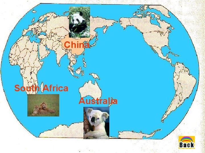 China South Africa Australia China South Africa Australia