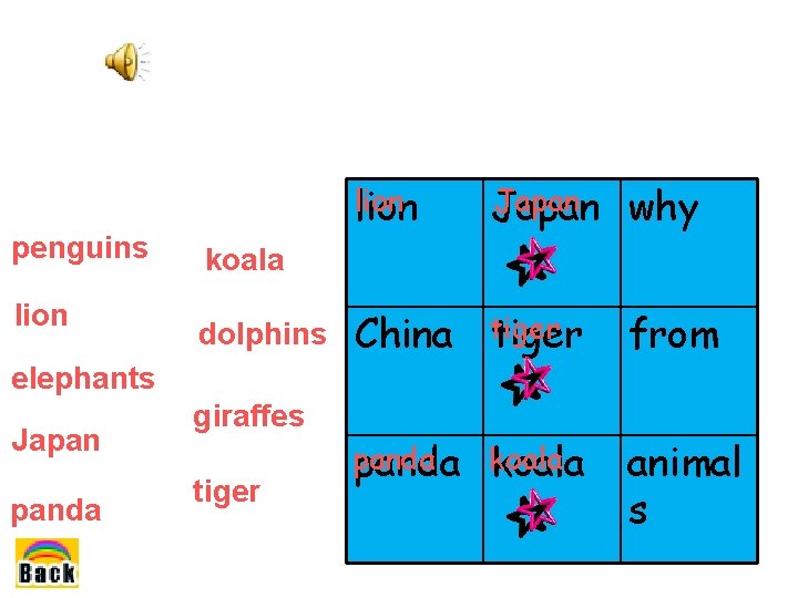 penguins lion Japan why koala dolphins China tiger from panda koala animal s elephants penguins lion Japan why koala dolphins China tiger from panda koala animal s elephants