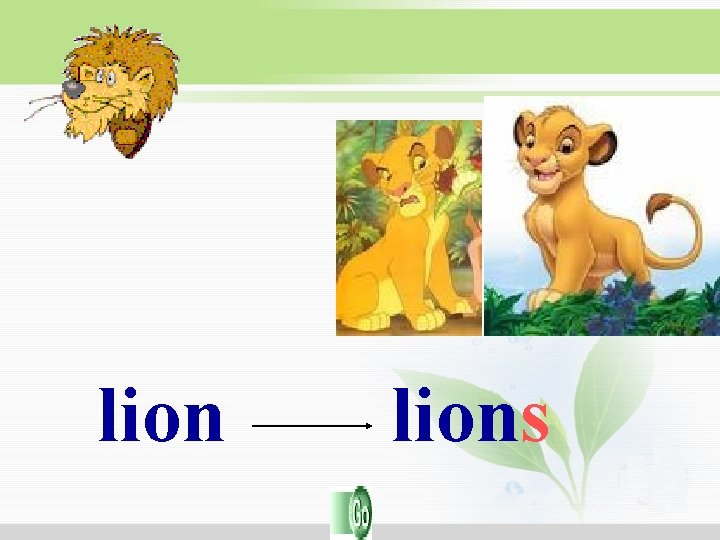 lions lions