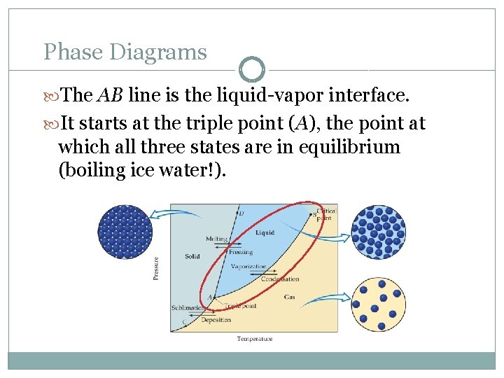 Phase Diagrams The AB line is the liquid-vapor interface. It starts at the triple
