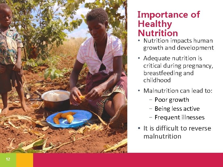 Importance of Healthy Nutrition • Nutrition impacts human growth and development • Adequate nutrition