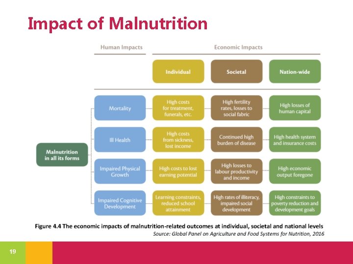 Impact of Malnutrition 19 