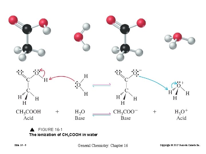 FIGURE 16 -1 The ionization of CH 3 COOH in water Slide 16 -