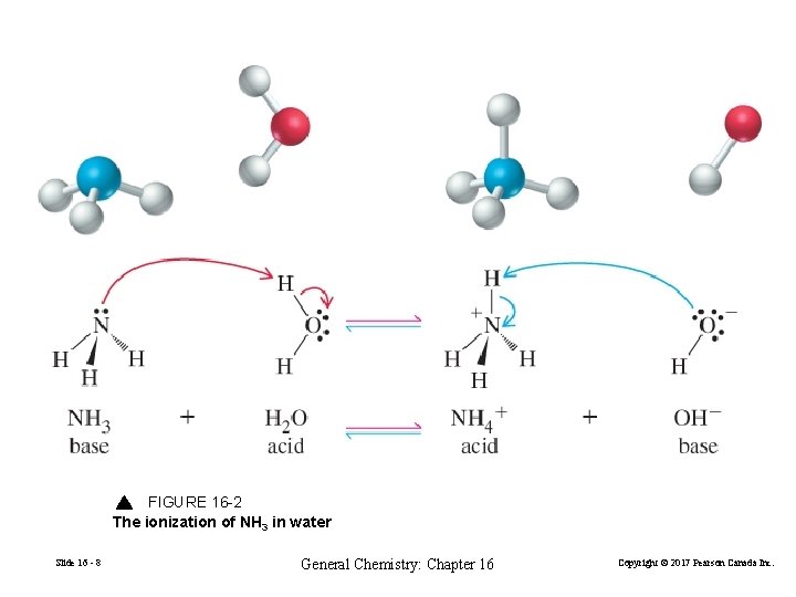 FIGURE 16 -2 The ionization of NH 3 in water Slide 16 - 8