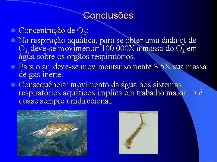 Conclusões Concentração de O 2: Na respiração aquática, para se obter uma dada qt Conclusões Concentração de O 2: Na respiração aquática, para se obter uma dada qt