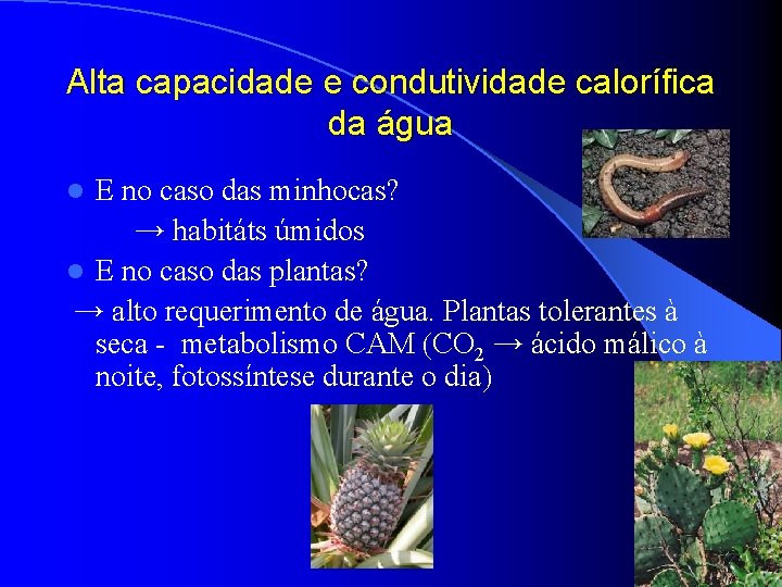Alta capacidade e condutividade calorífica da água E no caso das minhocas? → habitáts Alta capacidade e condutividade calorífica da água E no caso das minhocas? → habitáts