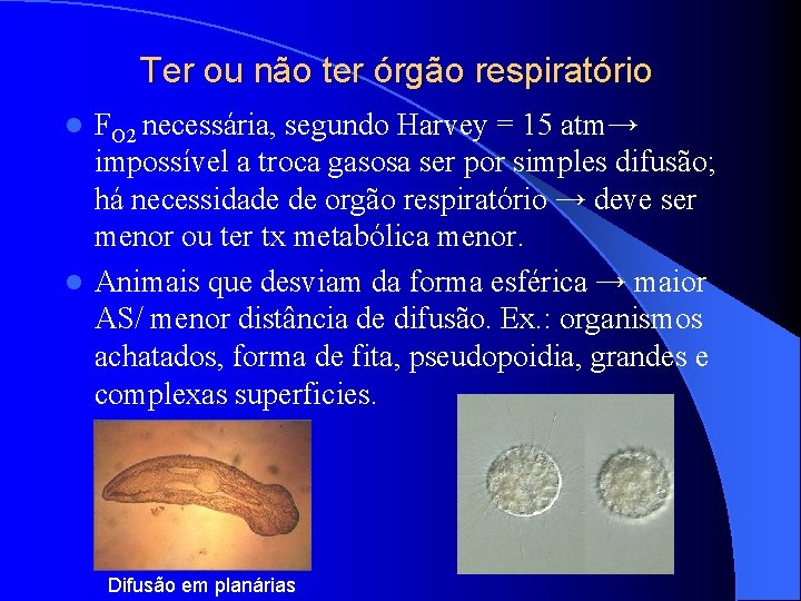 Ter ou não ter órgão respiratório FO 2 necessária, segundo Harvey = 15 atm→ Ter ou não ter órgão respiratório FO 2 necessária, segundo Harvey = 15 atm→