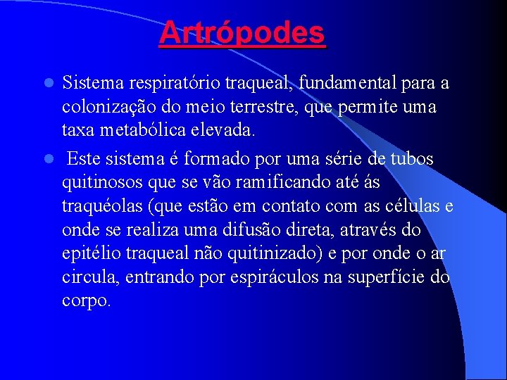 Artrópodes Sistema respiratório traqueal, fundamental para a colonização do meio terrestre, que permite uma Artrópodes Sistema respiratório traqueal, fundamental para a colonização do meio terrestre, que permite uma