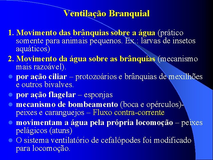 Ventilação Branquial 1. Movimento das brânquias sobre a água (prático somente para animais pequenos. Ventilação Branquial 1. Movimento das brânquias sobre a água (prático somente para animais pequenos.