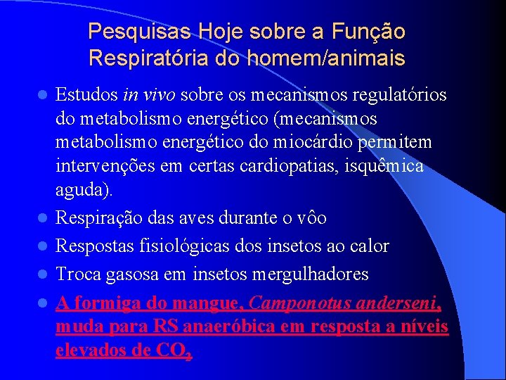 Pesquisas Hoje sobre a Função Respiratória do homem/animais l l l Estudos in vivo Pesquisas Hoje sobre a Função Respiratória do homem/animais l l l Estudos in vivo