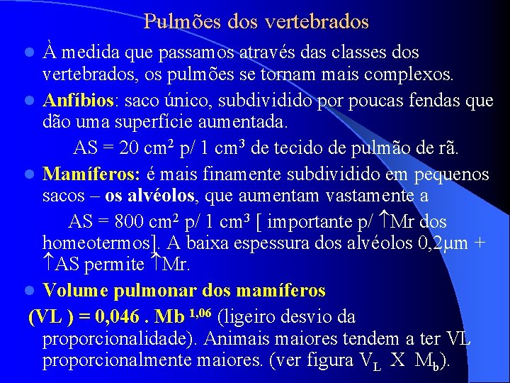 Pulmões dos vertebrados À medida que passamos através das classes dos vertebrados, os pulmões Pulmões dos vertebrados À medida que passamos através das classes dos vertebrados, os pulmões