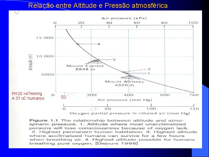 Relação entre Altitude e Pressão atmosférica PH 20 =47 mm. Hg A 37 o. Relação entre Altitude e Pressão atmosférica PH 20 =47 mm. Hg A 37 o.