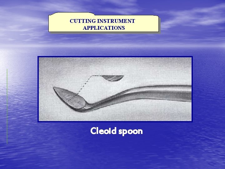 CUTTING INSTRUMENT APPLICATIONS Cleoid spoon 