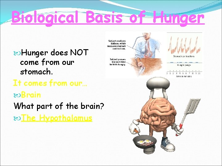 Biological Basis of Hunger does NOT come from our stomach. It comes from our…