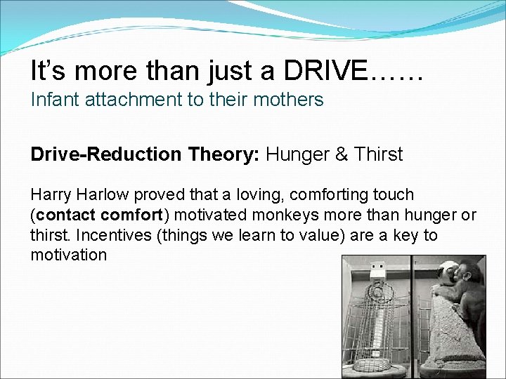 It’s more than just a DRIVE…… Infant attachment to their mothers Drive-Reduction Theory: Hunger