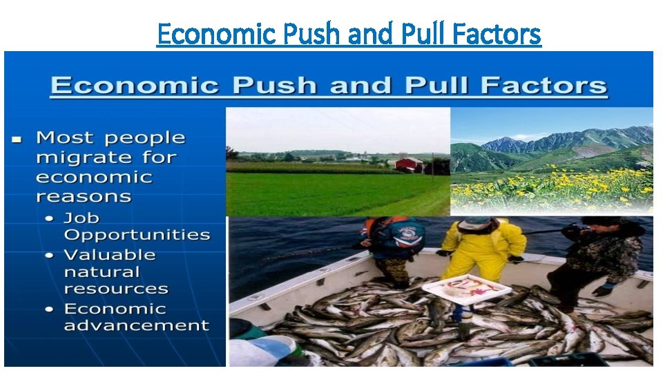 Economic Push and Pull Factors 