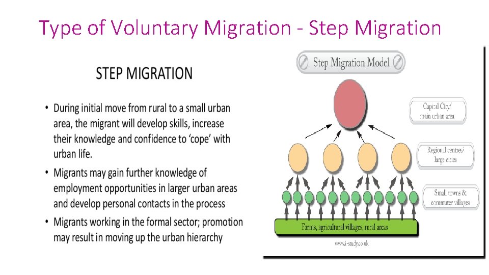 Type of Voluntary Migration - Step Migration 