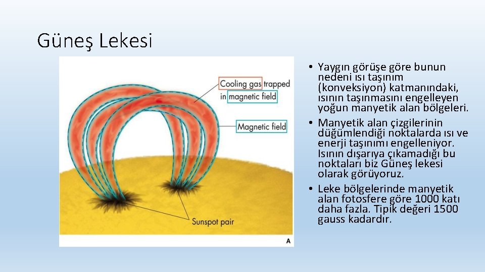 Güneş Lekesi • Yaygın görüşe göre bunun nedeni ısı taşınım (konveksiyon) katmanındaki, ısının taşınmasını