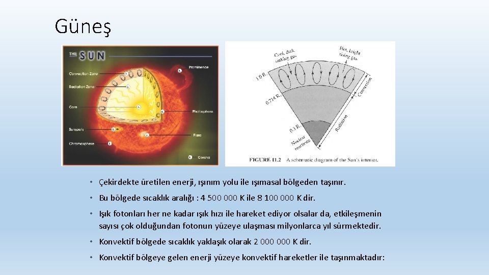 Güneş • Çekirdekte üretilen enerji, ışınım yolu ile ışımasal bölgeden taşınır. • Bu bölgede