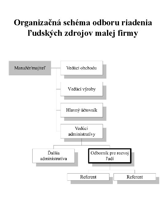 Organizačná schéma odboru riadenia ľudských zdrojov malej firmy 