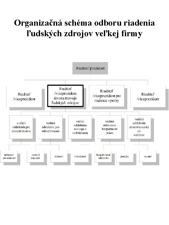 Organizačná schéma odboru riadenia ľudských zdrojov veľkej firmy 