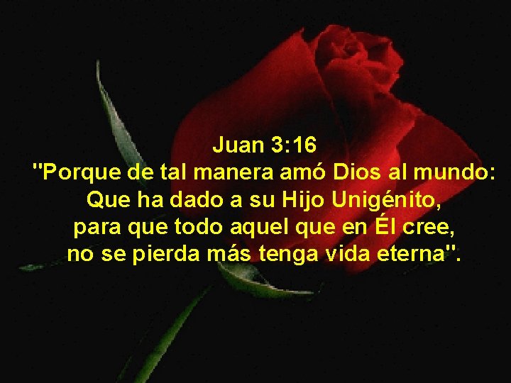 Juan 3: 16 "Porque de tal manera amó Dios al mundo: Que ha dado