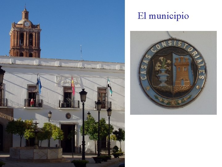 El municipio 